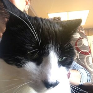 Meet your Posher, Viki